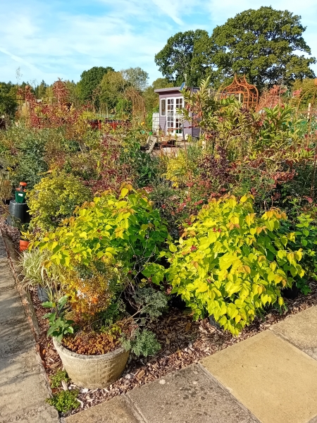 The Potting Shed